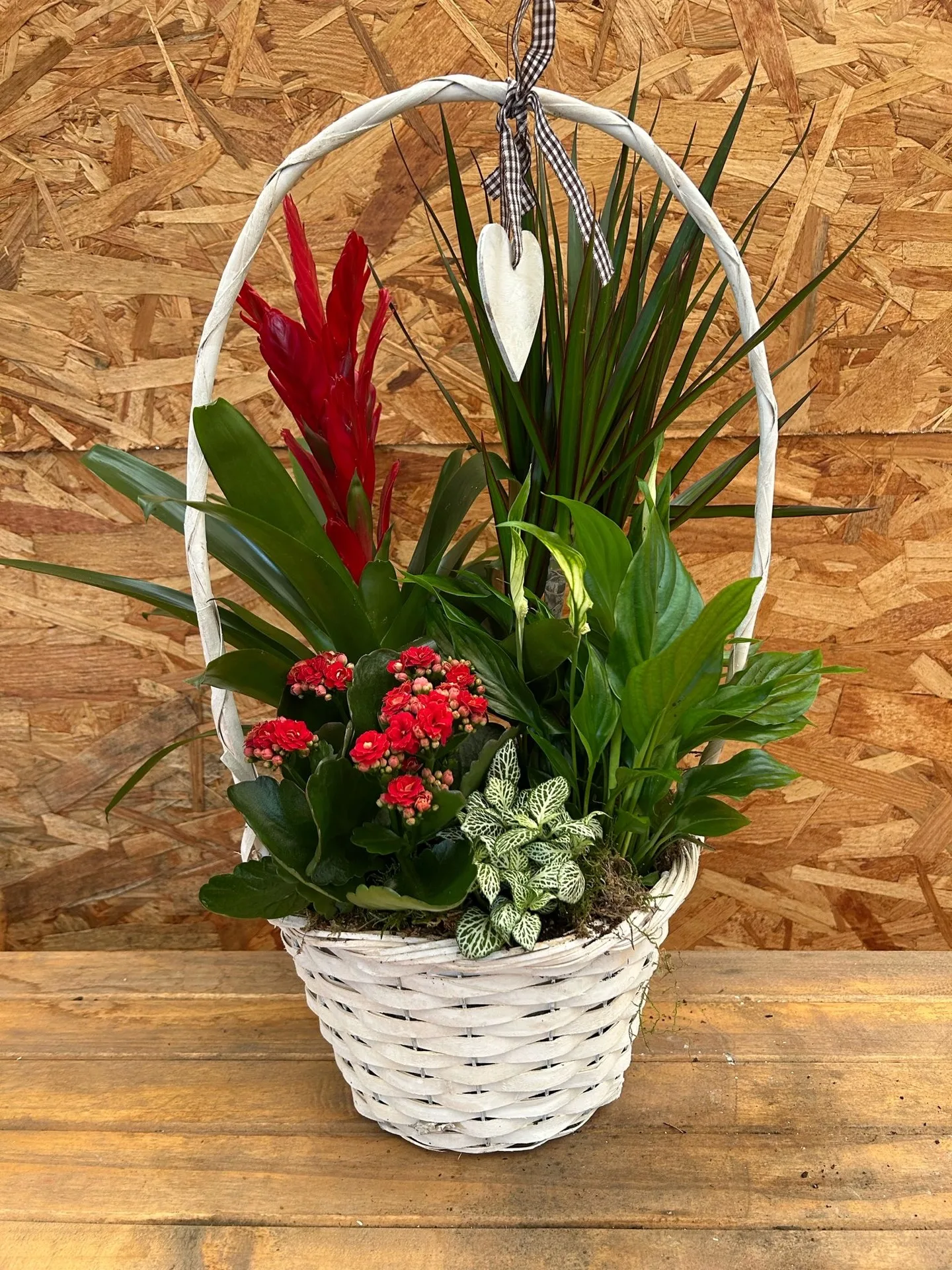 Plants by Artemisa Floristas in Torrevieja — example 1