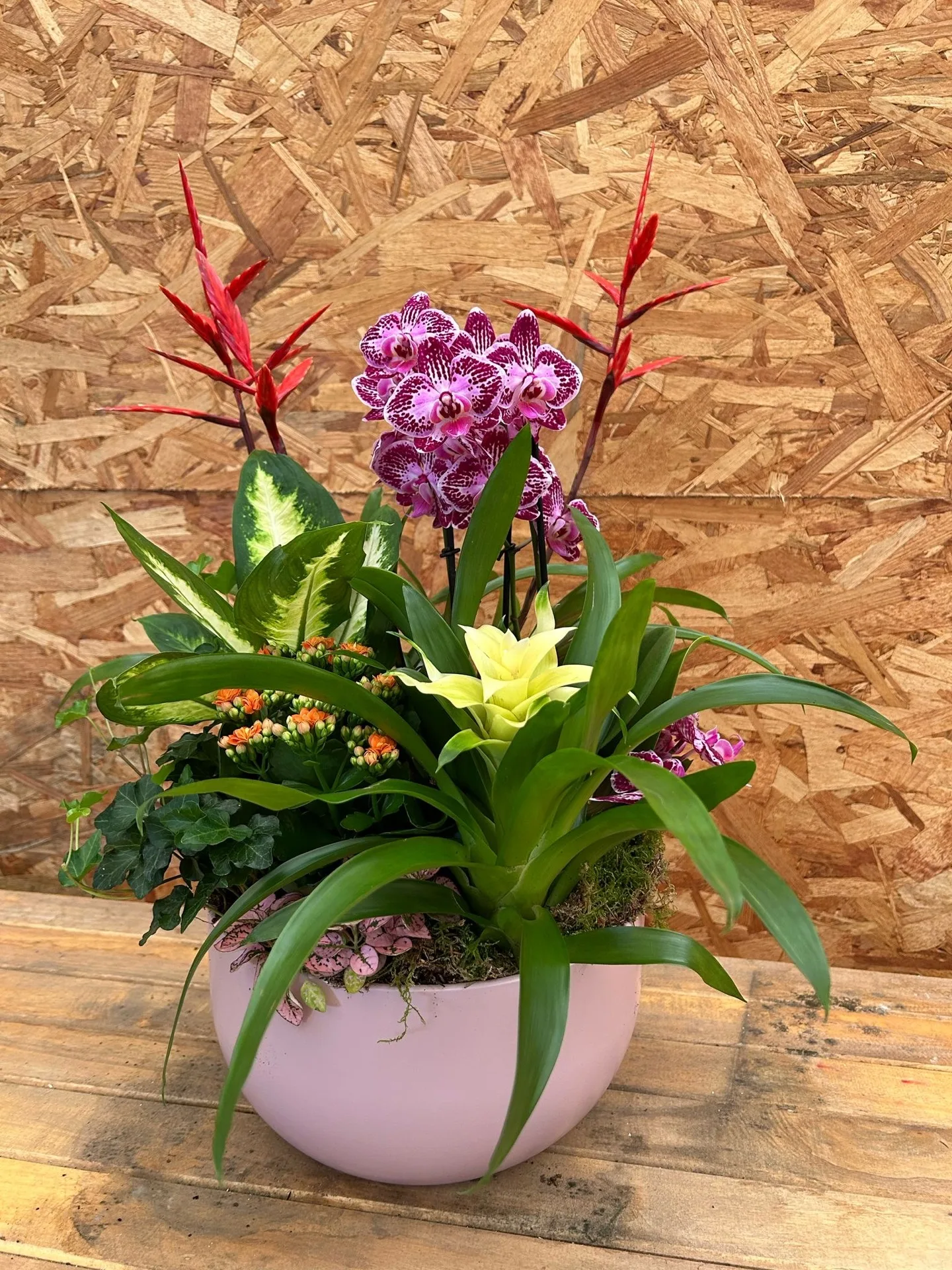 Plants by Artemisa Floristas in Torrevieja — example 3